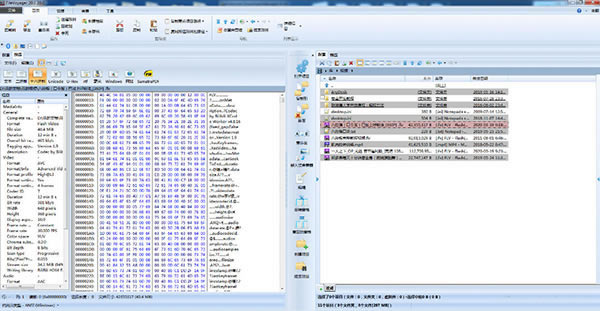 FileVoyagerϢ豸20.1.20.0