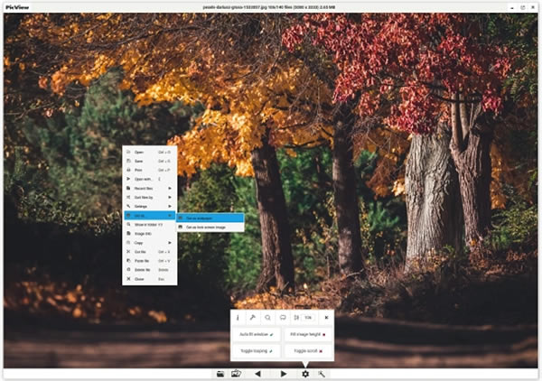 picview-picview1.0.0