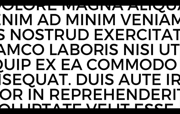 fontlab vi-fontlab vi6.1.4