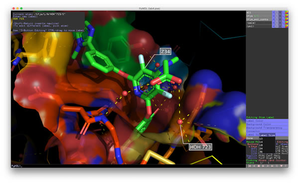 PyMOL-PyMOLάģͽģ2.4.1