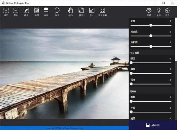 PictureColorizer2.3.3