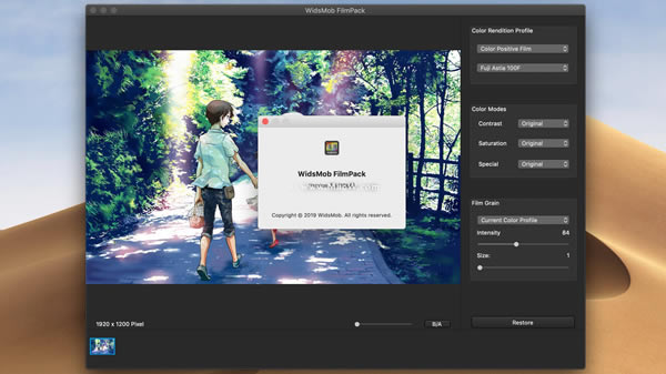 WidsMob FilmPackԪ˾1.2.0.86