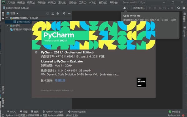 PyCharm Professional 2021Զ˹ٷ2024°ɫذװ