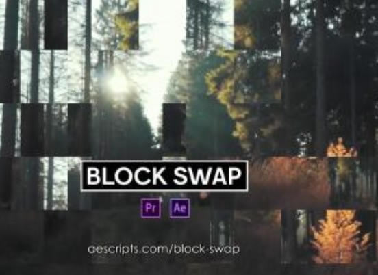 Block SwapԶ˹ٷ2024°ɫذװ