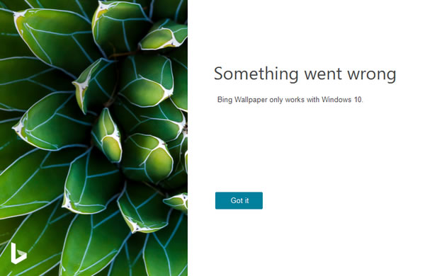 Bing WallpaperԶ˹ٷ2024°ɫذװ