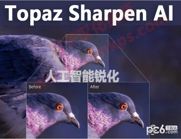 Topaz Sharpen AIԶ˹ٷ2024°ɫذװ