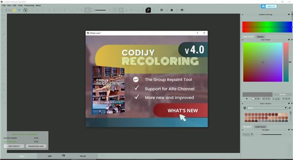CODIJY RecoloringԶ˹ٷ2024°ɫذװ
