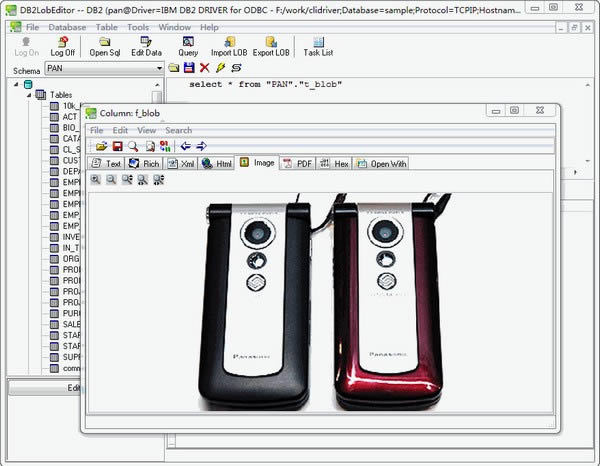 DB2LobEditor-db2ݿ༭-DB2LobEditor v2.9ٷ