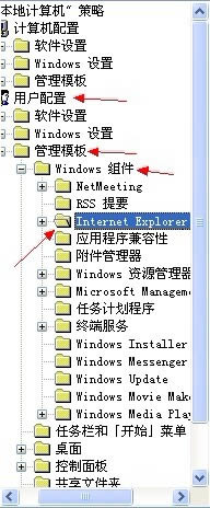 Internet Explorer 7ͼ