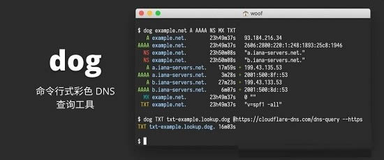 dog-ʽɫDNSѯ-dog v0.1.0ٷ