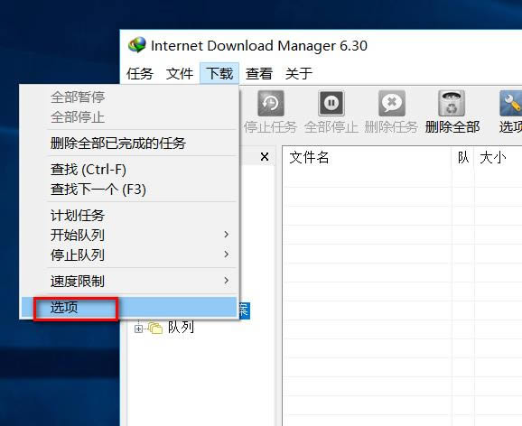 internet download manager(IDM)