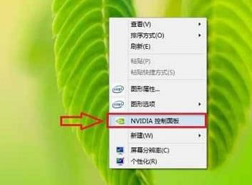 NVIDIA-NVIDIAԿ-NVIDIA v1.0ٷ