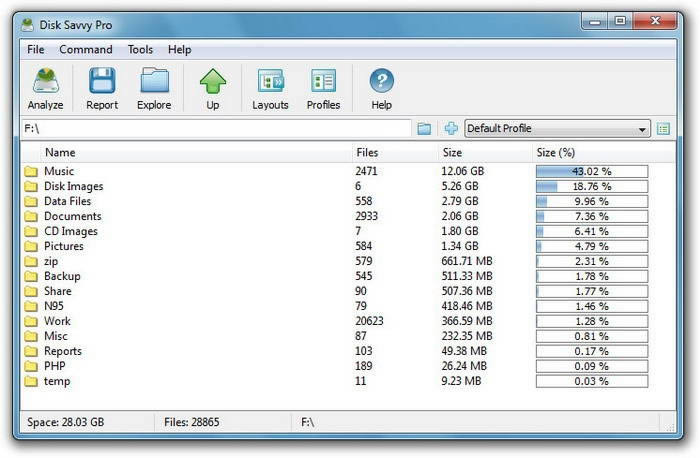 Disk Savvy Pro-x64-Disk Savvy Pro v13.8.12ٷ