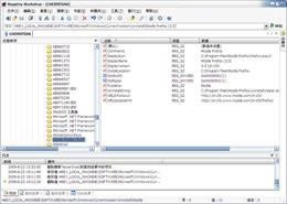 Registry Workshop-ע༭-Registry Workshop v5.0.1.0ʽ