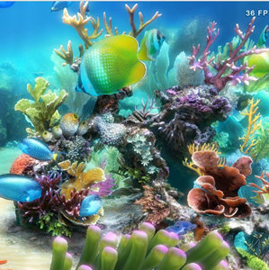 Sim Aquarium Premium-Sim Aquarium Premium v3.8.59 ɫر