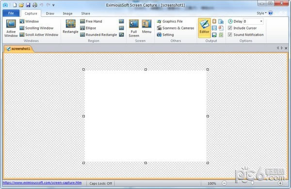 EximiousSoft Screen Capture-Ļץȡ-EximiousSoft Screen Capture v2.20Ѱ