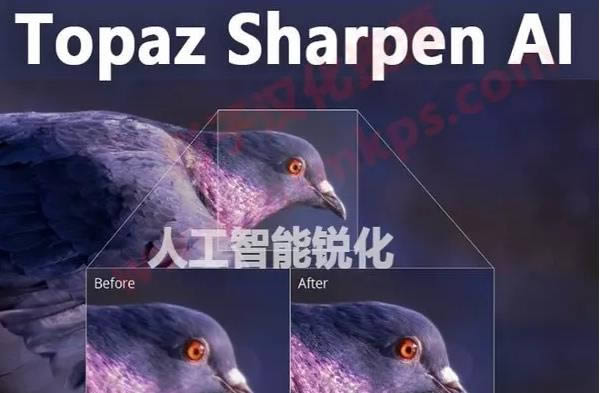 Topaz Sharpen AI-˹-Topaz Sharpen AI v2.2.2ٷ