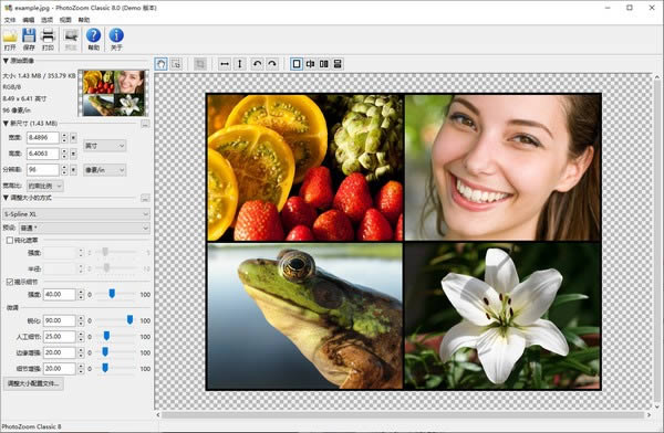 PhotoZoom Classic-ͼƬŴ-PhotoZoom Classic v8.0ٷ