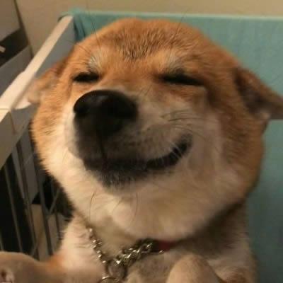 ȮɰͷͼƬȫ-ȮɰͷͼƬȫ vٷ