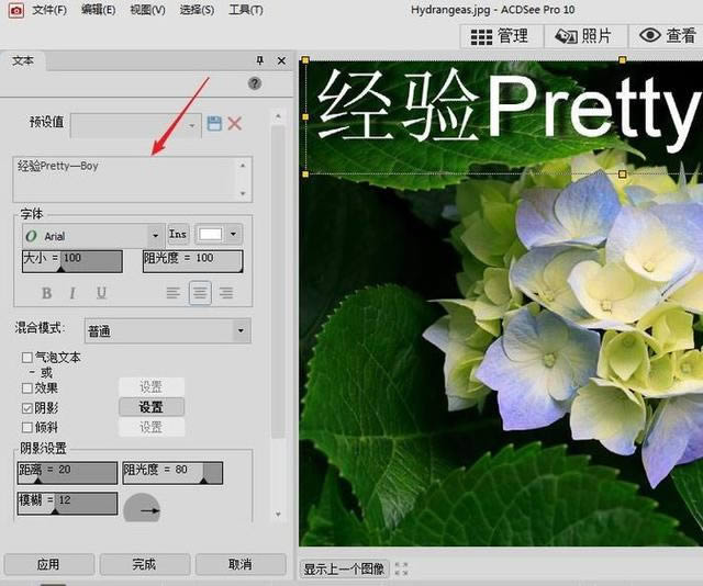 ACDSee-acdsee5.0ٷ-ACDSee v5.0ٷ