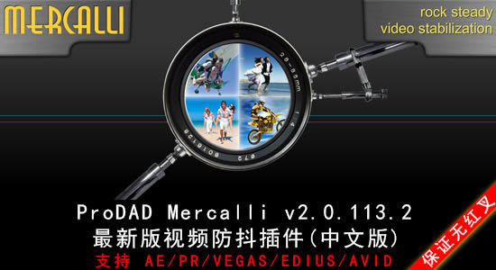 ƵȶProDAD Mercalli-ƵȶProDAD Mercalli v2.0.113.2ٷ