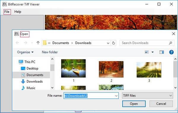 BitRecover Tiff Viewer-TIFFļ鿴-BitRecover Tiff Viewer v2.2ٷ