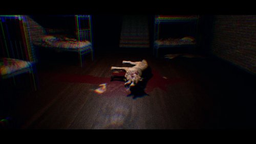 걾İ-걾ⰲװ