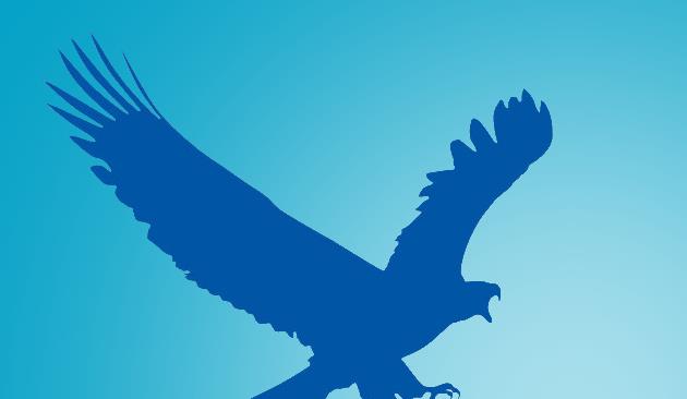 ӥEagleGet2018¹ٷ_ɫѰ
