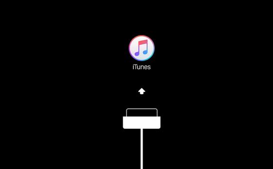 itunesٷ汾xp_Vista